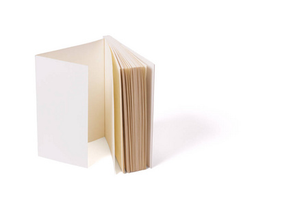 用于印刷产品和演示文稿的模拟.其中一个打开了硬封面笔记本或杂志.