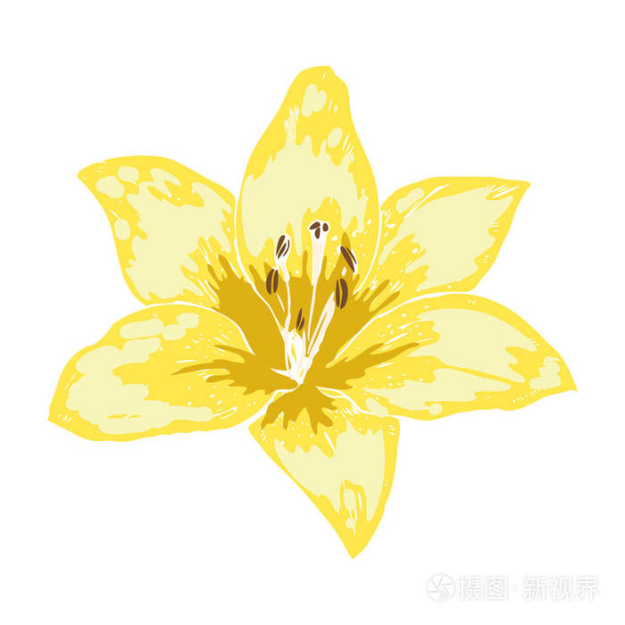 手绘矢量. 大自然花卉收藏插画-正版商用图片145d2y-摄图新视界