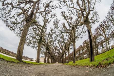 德国古龙水附近布鲁尔奥古斯都堡宫花园里的冬天树木和它们的影子。 联合国教科文组织世界遗产地。
