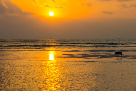 黄昏的天空乌云在日落之前,黄昏的时间在低潮的海面上,金色的灯光在