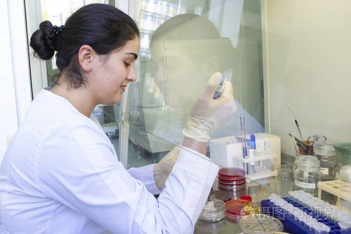 年轻的科学家在现代生物实验室工作,年轻的女性研究科学家在研究实验