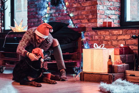 圣诞节期间, 时尚的男人在装饰好的客厅里和他可爱的狗玩