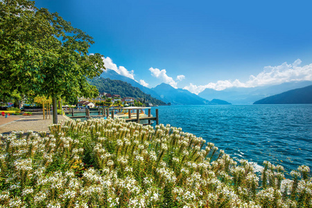 瑞士韦吉斯2018年8月20日，韦吉斯湖卢塞恩村Vierwaldstatersee皮拉特斯山和瑞士阿尔卑斯山在著名的卢塞恩