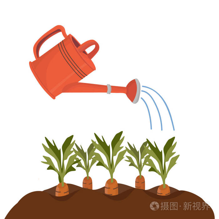 红色花园浇水可以用胡萝卜灌溉床. 卡通风格的矢量孤立对象,供您设计