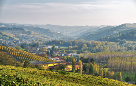  Langhe, Roero and Moferrato vinery regions are UNESCO World Her