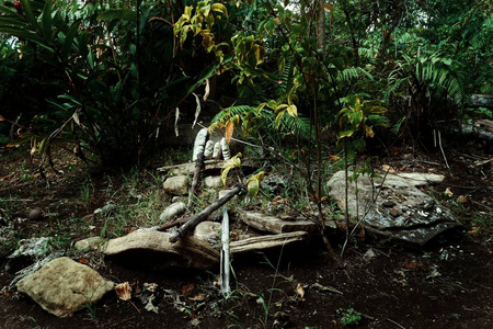 瓦拉诺村Malekula岛瓦努阿图2016年7月9日魔法石和其他神圣文物在神圣的墓地。