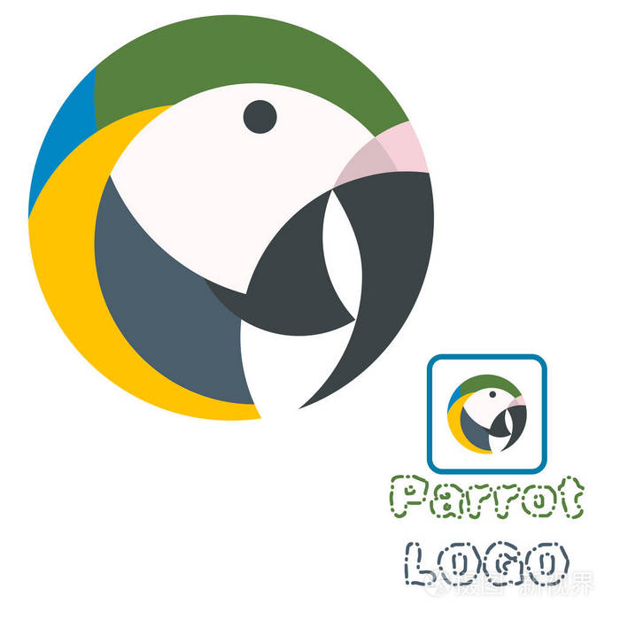 彩色矢量插图鹦鹉白色背景,一个小标志的异国鸟