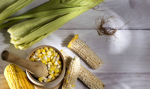 黄色玉米的玉米穗，白色背景上的木制花瓶里有谷物
