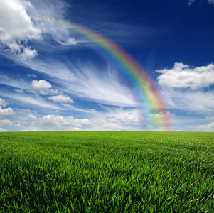 彩虹在景观上与绿色的田野