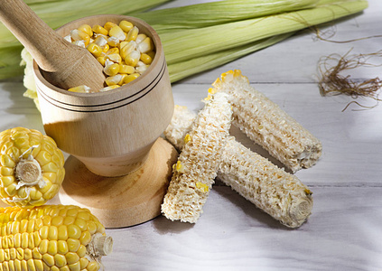 黄色玉米的玉米穗，白色背景上的木制花瓶里有谷物