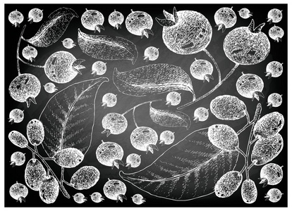 金紫背景图片 金紫背景素材 金紫背景插画 摄图新视界 金紫背景图片 金紫背景素材 金紫背景插画 摄图新视界