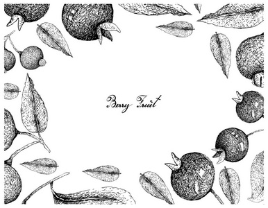 浆果水果插图框架的手绘草图新鲜的Grumichama樱桃或乌格尼亚巴西和瓜比朱或马刺果从白色背景。