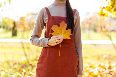 女孩手里拿着秋日公园里的一片黄叶