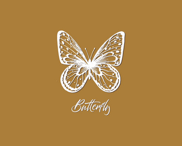 飞蝴蝶的女人图片