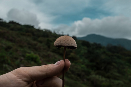 洪奥索斯滕尼多康拉马诺