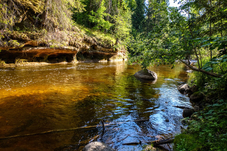 夏季绿色天气下森林深处的岩石河流，有砂岩悬崖和旧的干木树干。 塞斯附近的拉脱维亚亚马塔河