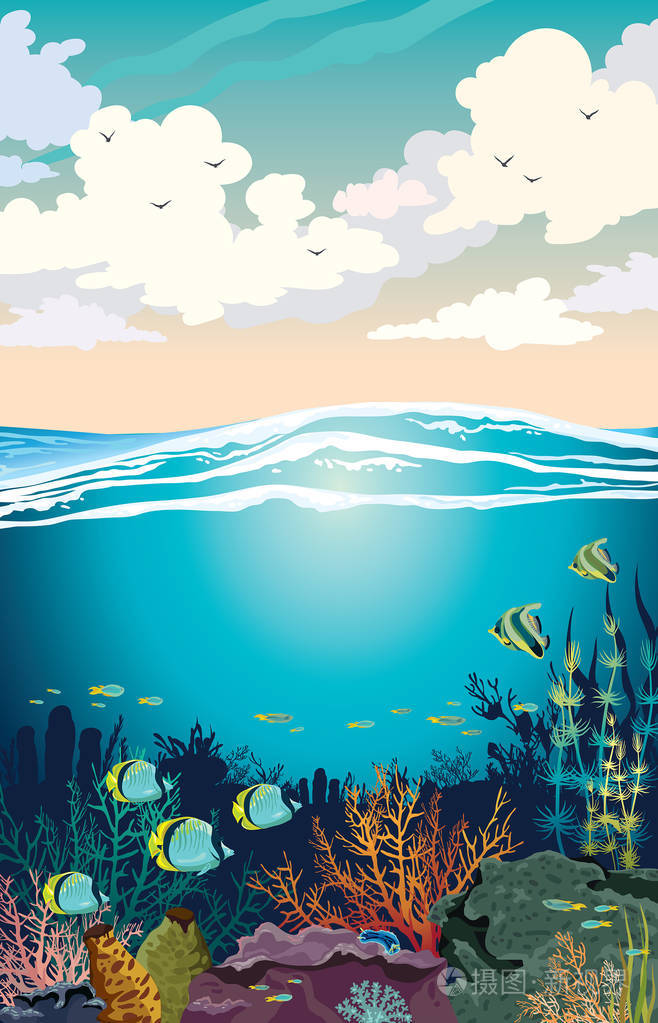 水下海洋野生动物.插画-正版商用图片147bkt-摄图新视界
