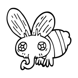 苍蝇的线条画漫画照片