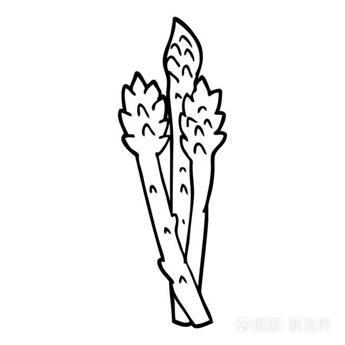 线绘卡通芦笋植物插画-正版商用图片147n2y-摄图新视界
