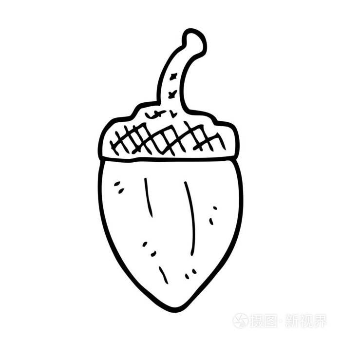 线绘卡通橡子插画-正版商用图片147v2z-摄图新视界