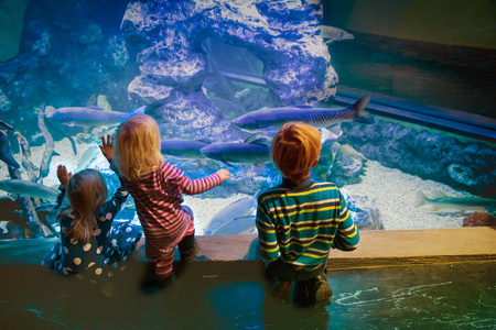 孩子们在水族馆里看鱼, 学习海洋生物