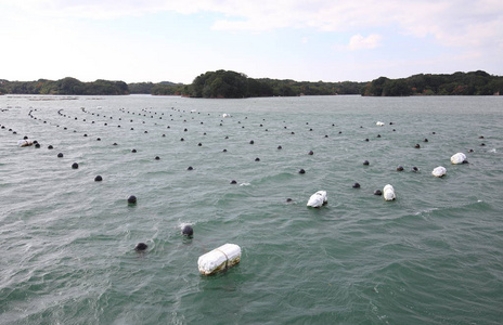 阿戈湾岛景观和珍珠水产养殖日本岛