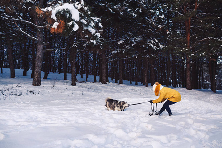 美丽的年轻女孩有趣的玩她的狗在冬天在公园
