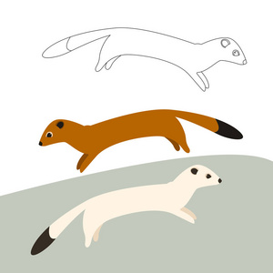 卡通黄鼠狼向量例证平样式照片