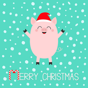 圣诞快乐。 小猪猪。 可爱的卡通有趣的婴儿角色。 猪猪母猪动物。 圣诞老人帽。 中国象征2019年新年。 十二宫星座。 平面设计