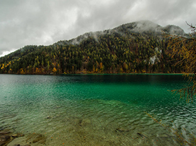 湖面上长满松树的山景