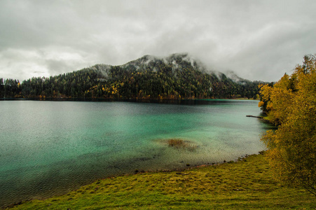 湖面上长满松树的山景