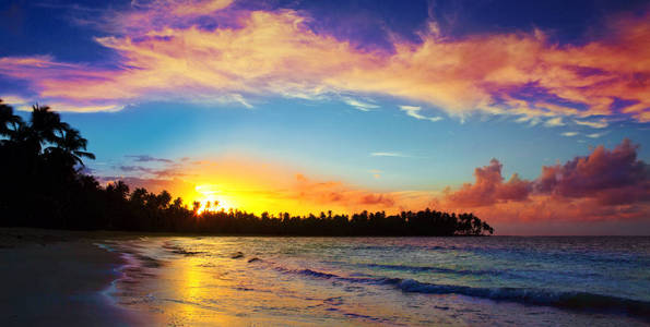 加勒比日落在热带海滩与椰子棕榈树