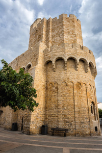中世纪强化教堂圣母院的堡垒塔桑特斯马里斯德拉卡马格普罗旺斯法国。 垂直图像