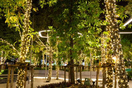 模糊的形象装饰户外串灯挂在树上的花园在夜间时间装饰圣诞灯新年快乐