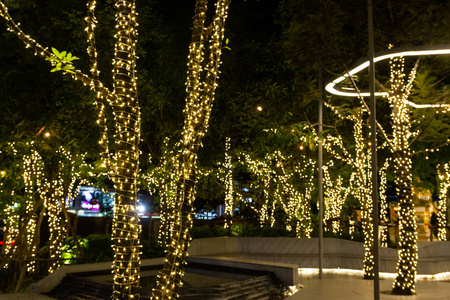 模糊的形象装饰户外串灯挂在树上的花园在夜间时间-装饰圣诞灯-新年