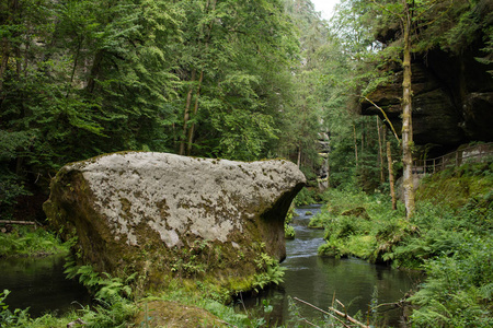 波希米亚瑞士国家公园。有许多岩石和松树的山河景观。捷克瑞士森林。