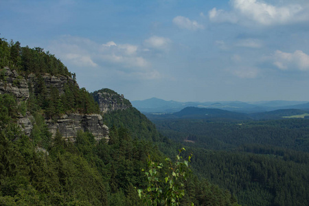 捷克瑞士国家公园松林和岩石的山景