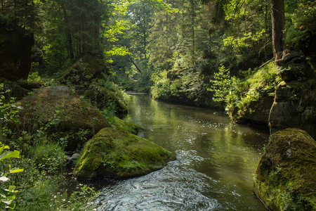 波希米亚瑞士国家公园。有许多岩石和松树的山河景观。捷克瑞士森林。