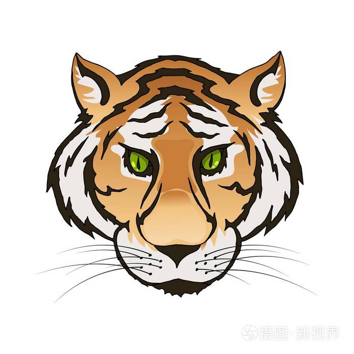 向量翡翠绿色眼睛老虎画像捕食者头五颜六色隔离