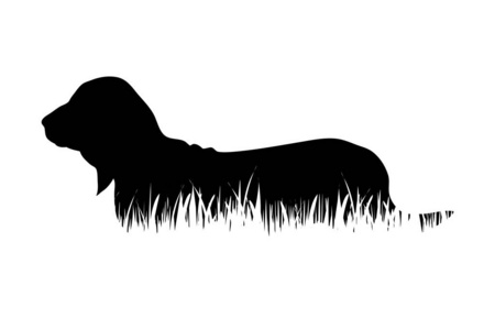 白色背景下草中狗的矢量轮廓。