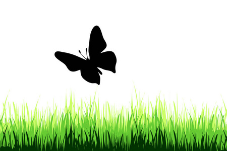 蝴蝶在自然界中的矢量插图。