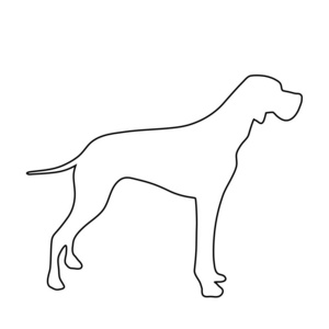 白色背景上狗标志的矢量轮廓。