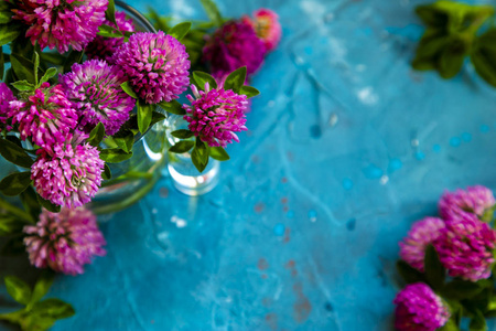 桌子上有蓝色背景的粉红色三叶草花