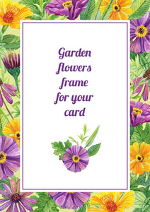 黄色和紫色花朵的框架。 用于设计和装饰卡。