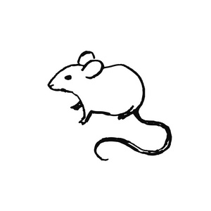 动物简单线图斯堪的纳维亚风格的可爱手绘动物. 简单的线条艺术.