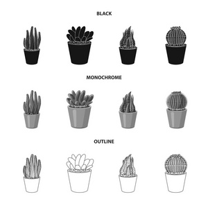 仙人掌和花盆标识的孤立对象。仙人掌和仙人掌的收藏符号网站