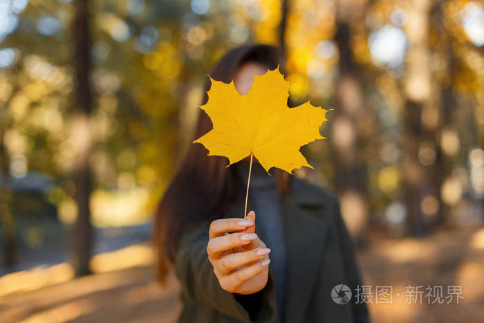 手中握着金色枫叶