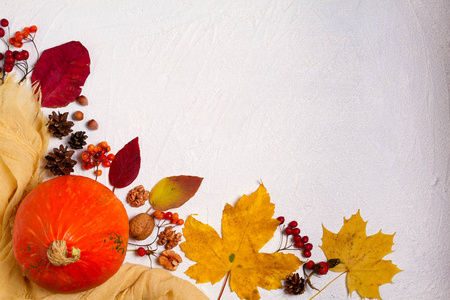 秋天在白色背景上留下南瓜浆果和坚果，并有复制空间。 季节性假日明信片模型。 从上面看