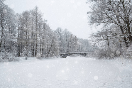 冬季仙境场景背景景观。 雪中的树木森林。 圣诞新年