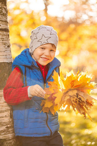秋天公园的孩子。 带着落叶的快乐可爱的男孩。 童年家庭和孩子的概念在户外笑。